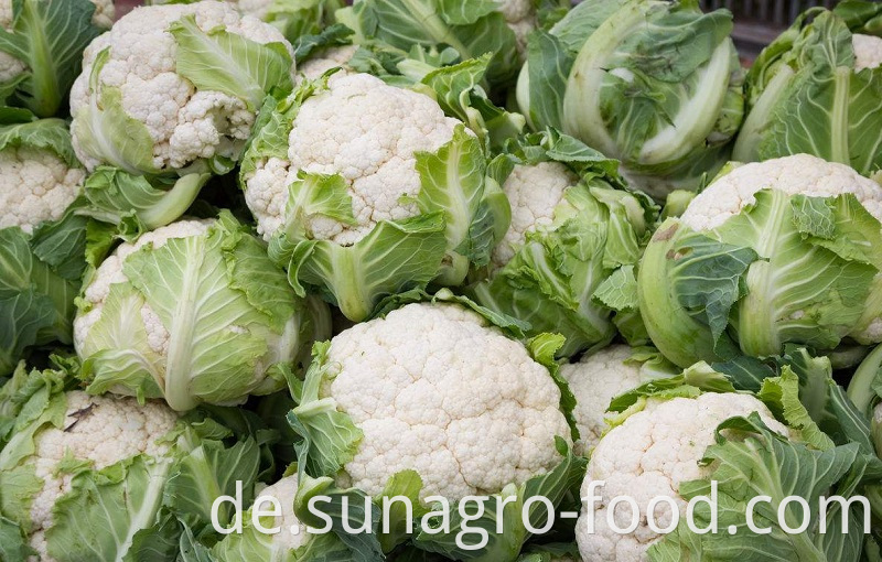 High Quality Fresh Cauliflower